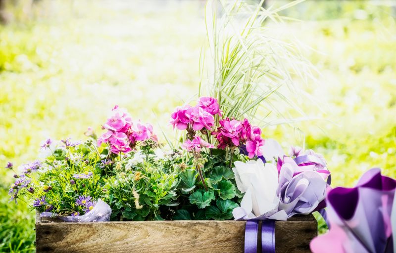 Flower Planting Service in Ventura County, CA
